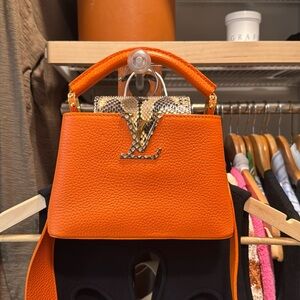 Louis Vuitton exotic capucine (small)